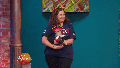 Dog Dress Up GIF by Rachael Ray Show