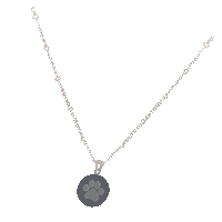 mo4paws cat dog cats dogs Sticker