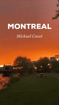 Montreal Mickael Casol GIF by Casol