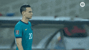 World Cup Soccer GIF by Football Australia