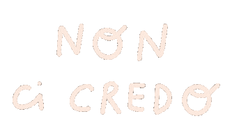 Davvero Non Ci Credo Sticker