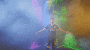 Meow Wolf Home Kit GIF by New Mexico United
