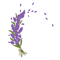 Instagram Lavanda Sticker