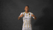 South Carolina Soccer GIF by Charleston Battery
