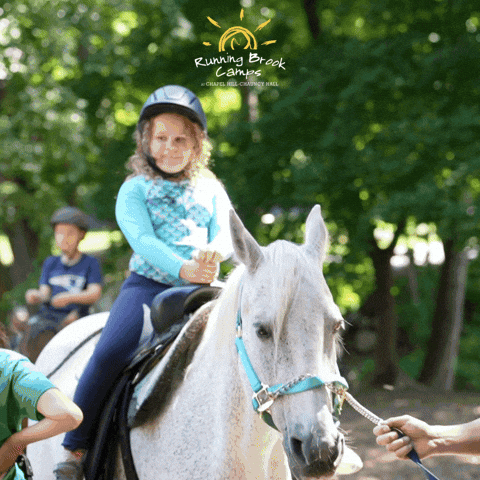 Rbc GIF by Chapel Hill-Chauncy Hall School