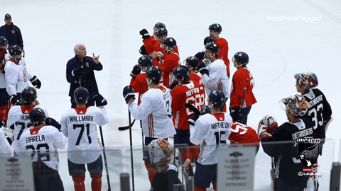 Hockey Cats GIF by Florida Panthers