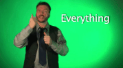 sign language everything GIF by Sign with Robert