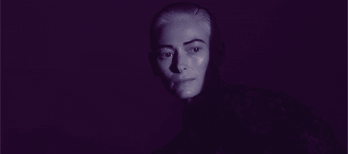 tilda swinton GIF