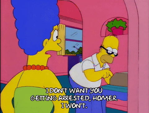 homer simpson GIF