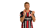 Eintracht Frankfurt Yes Sticker by Bundesliga