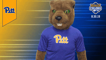 College Sports Mascots GIF by College Colors Day