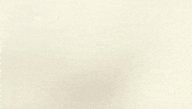 Logo Brand GIF by ZAMPE pet apparel