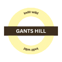 I Spy Inde Wild Sticker by indewild