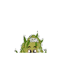 4 20 Smoke Sticker by STNR Creations