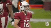 Arizona Cardinals Football GIF by NFL