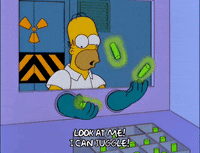 homer simpson episode 21 GIF