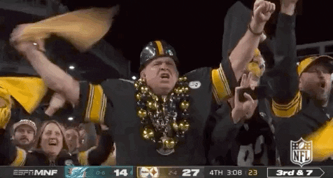 Regular Season Football GIF by NFL