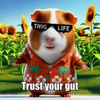 Follow Your Heart Wisdom GIF by Guinea Gambino