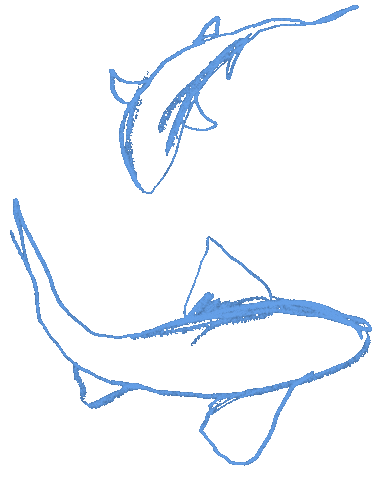 Water Swimming Sticker