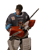 Uhk Sticker by UNIted HK