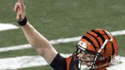 2018 Nfl Football GIF by NFL