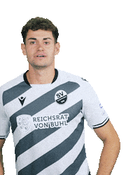 3Liga Sticker by SV Sandhausen