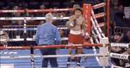 toprank fight boxing fighting fighters GIF