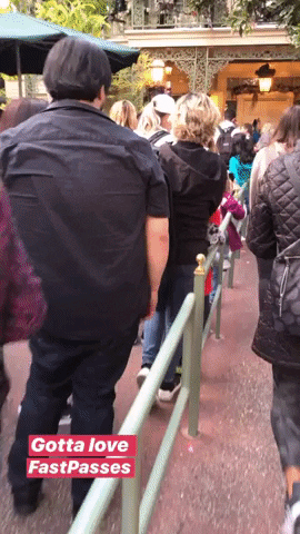 GIF by Smart Moms Travel