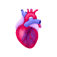 ichbinisabel heart illustration health herz Sticker