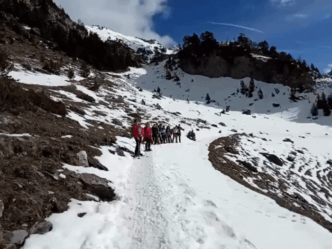 josetxoperurena giphyupload GIF