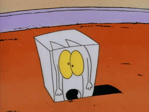 rockos modern life nicksplat GIF