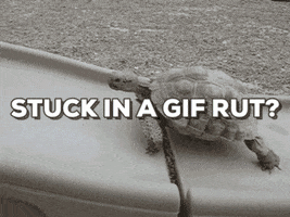GIF by Juli