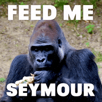 Hungry Mary Jane GIF by Sealed With A GIF