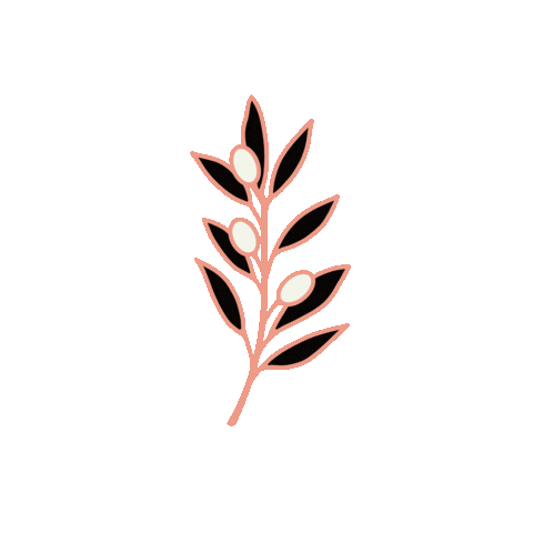 stalbott leaf branch leafy olive branch Sticker