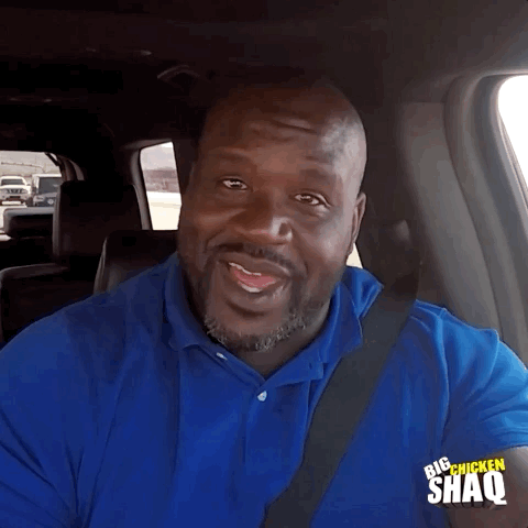season 1 episode 3 GIF by Big Chicken Shaq