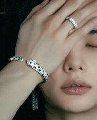 Cartier GIF