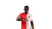 Football Hello Sticker by SK Slavia Praha