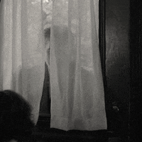Joaquin Phoenix Movie GIF by Diamond Films Latam