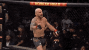 Alexander Volkanovski Sport GIF by UFC