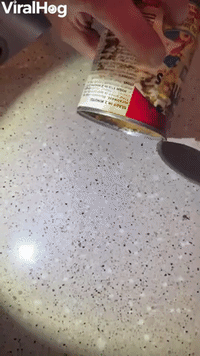 Opening a 10-Year-Old Can of SpaghettiOs