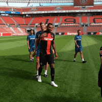 Happy Bayer 04 GIF by Bayer 04 Leverkusen