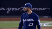 Major League Baseball Sport GIF by MLB