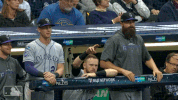 dj johnson GIF by MLB