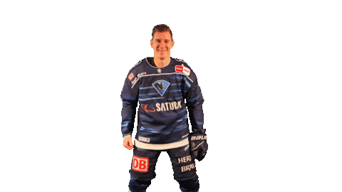 ercingolstadt giphyupload hockey left erc Sticker