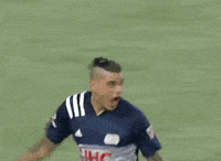Celebrate New England GIF by Major League Soccer