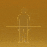 World Wall GIF by WeQuorum