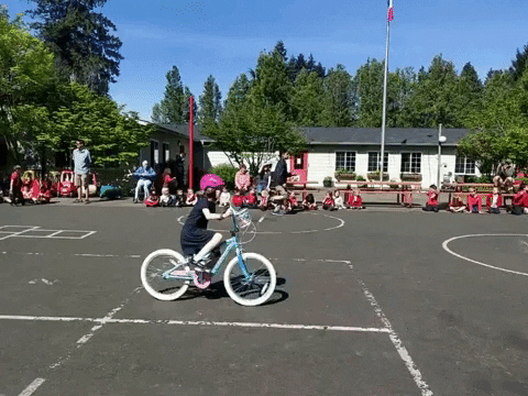 ryan-all-mad giphyupload GIF