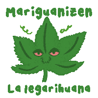 kaconpasas weed 420 marihuana mota Sticker