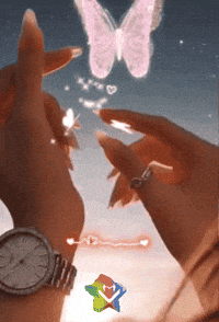 Mi Vida Amigos GIF by Murcianys LLC