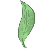 Green Leaf Spring Sticker